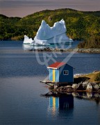 Harry's Harbour